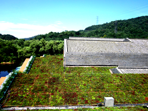 錢江新城 屋頂綠化群 中國風景園林網(wǎng)