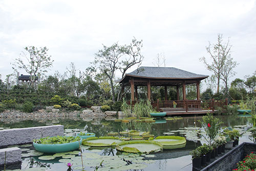 花博會(huì) 杭州園林 園林綠化 國(guó)際展園