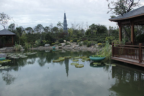 花博會(huì) 杭州園林 園林綠化 國(guó)際展園