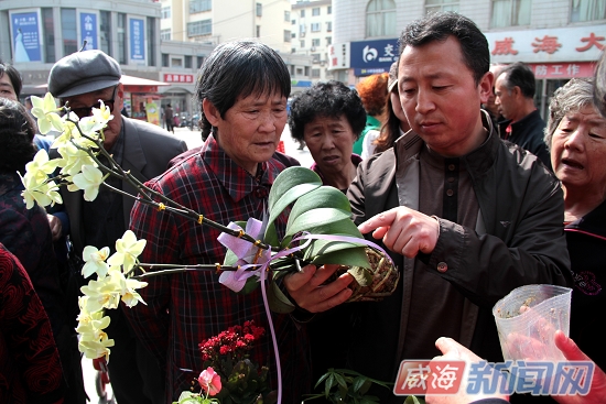 園林種植 園林賞花 景觀園林