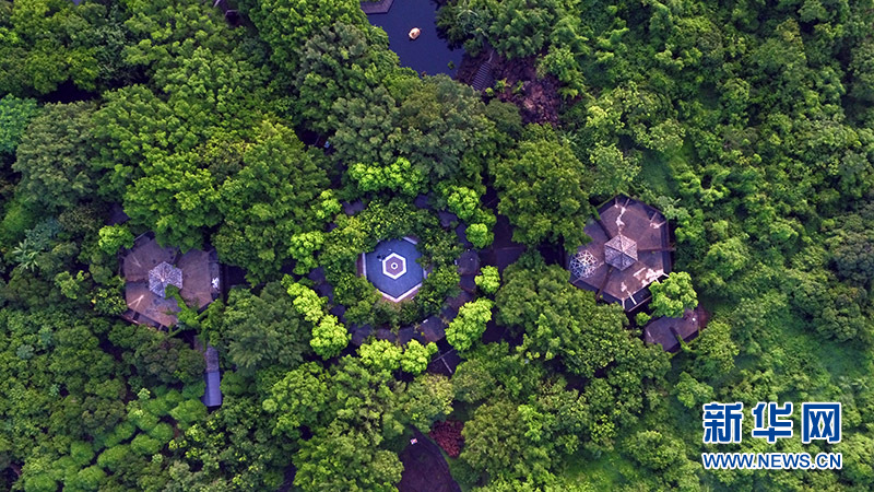 航拍海口石山火山群國(guó)家地質(zhì)公園 