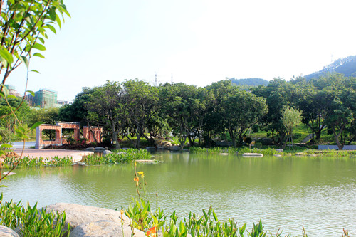 園冶杯專業(yè)獎：草庵公園荷花池核心區(qū)景觀設(shè)計