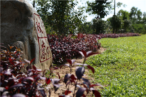 園冶杯專業(yè)獎：不忘初心·共建紅林