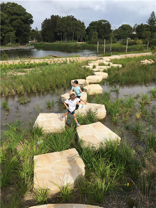 2019園冶杯專業(yè)獎大獎丨悉尼公園水再利用工程景觀設(shè)計(jì)